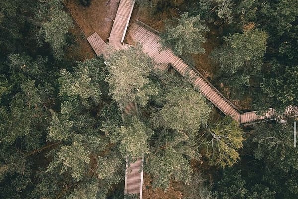 Nedēļas aktualitātes | 24.jūlijs